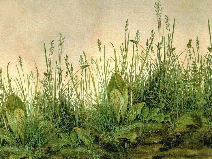 great-piece-of-turf