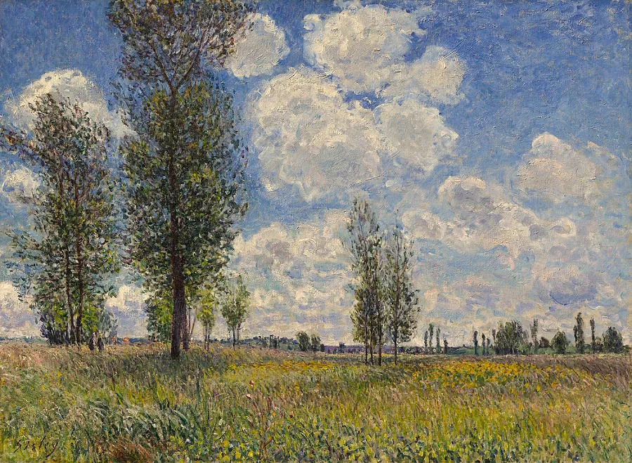 the-meadow-at-veneux